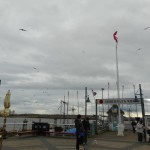 12790030_184654588574254_30113119_o